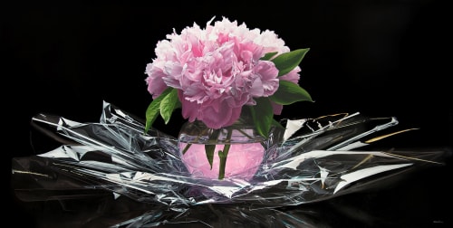 A Frozen Moment, Francois Chartier - Solo Show