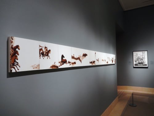 Installation View, "Bazm and Razm: Feast and Fight in Persian Art," Metropolitan Museum of Art, New York, 2015