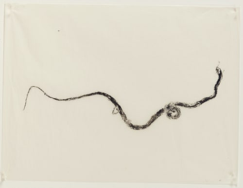 Naga Doodles 27 (Bronzeback), 2017