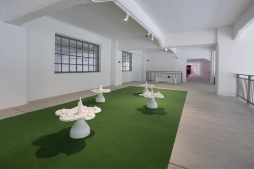 Helen Chadwick, Piss Flowers, 1991-1992