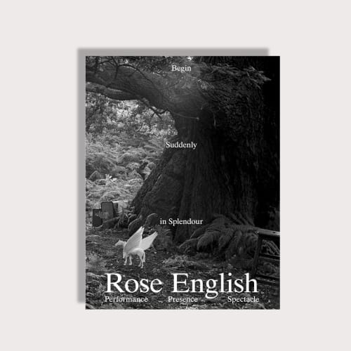 Rose English, Begin Suddenly in Splendour