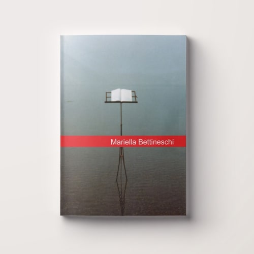 Mariella Bettineschi, Works