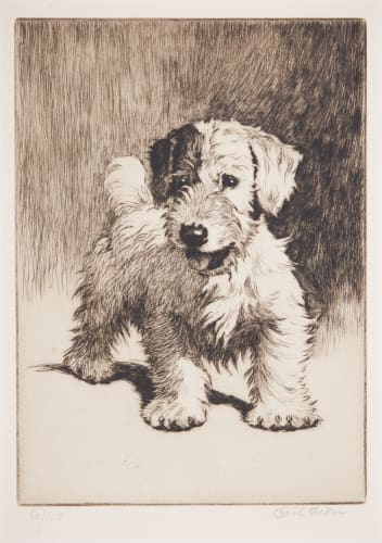 'A bunch of mischief'