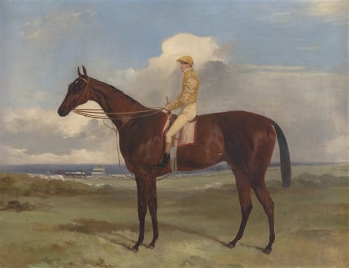'Lord Clifden's 'Surplice' , winner of The Derby and St. Leger, 1848. S.Templeman Esq. up.'