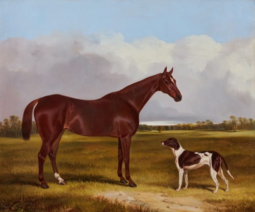 'A chestnut horse and English pointer in a landscape'