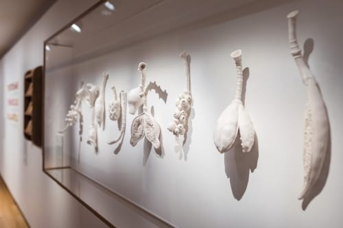 Rearranged: Art of the Flower