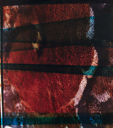 Finalist: MAC yapang Art Prize 2025