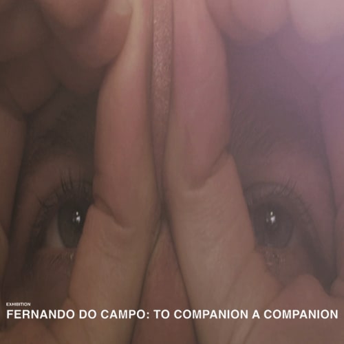 FERNANDO DO CAMPO: TO COMPANION A COMPANION