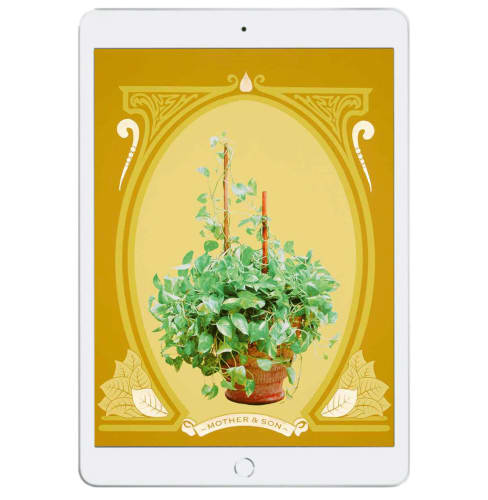 The worldly currency of Abdullah Syed