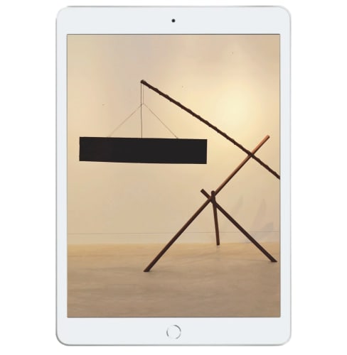 Powerhouse Collection, 'Bala ga Lili 2' sculpture - Damien Wright and Bonhula Yunupingu