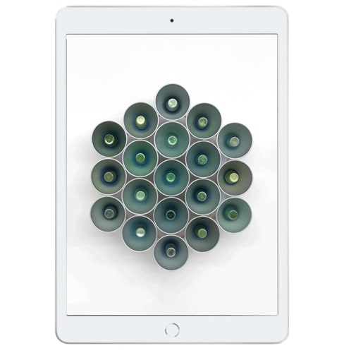 It's a long leap from frog hollow to the Gosford Art Prize 2024, Donna Marcus