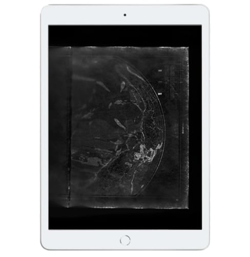 Izabela Pluta - Bowness Photography Prize Finalists 2021