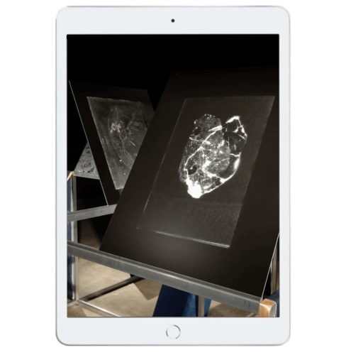 Izabela Pluta: Nihilartikel