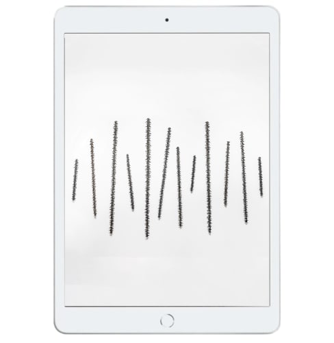 2022 Adelaide Biennial of Australian Art: Free/State opens with messages of hope from across the world