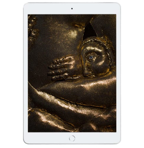 Local artist takes out Lester Prize for Portraiture, Tarryn Gill