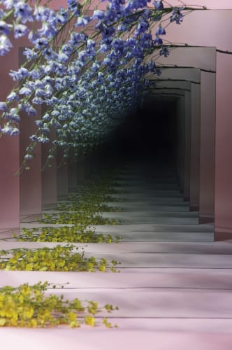 Sarah Meyohas. Speculation, 2015