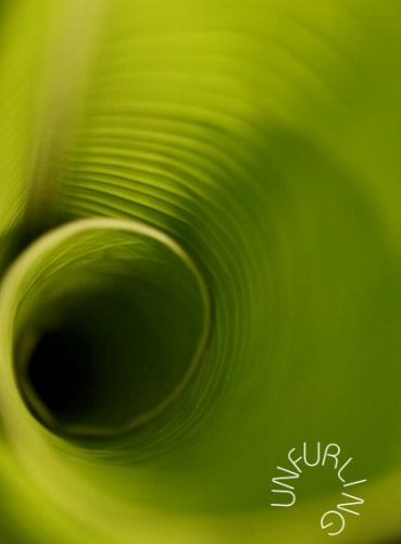 Unfurling Exhibition Catalogue