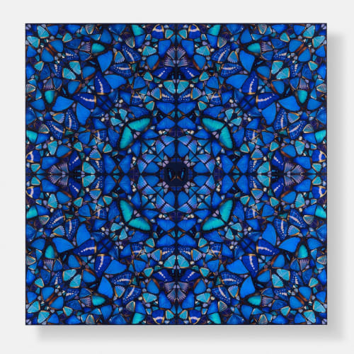 Contemporary Masters, Padstow