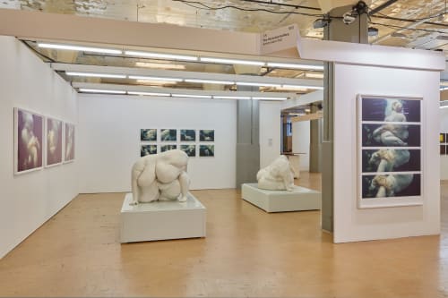 Art Rotterdam 2019, Solo Presentation Mariken Wessels