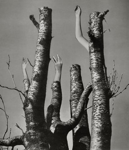 Fotografisk Center | 'Cadastral', Eva Stenram