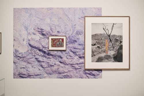 RAUTENSTRAUCH-JOEST-MUSEUM Koln | 'REVISIONS made by Warlpiri of Central Australia and Patrick Waterhouse', Patrick Waterhouse