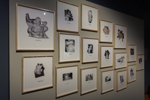 Fotomuseum Den Haag, I'm ok, you're ok - Curated by Wim van Sinderen