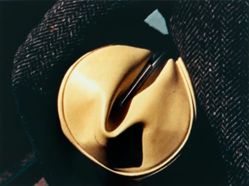 How Martina Sauter Works