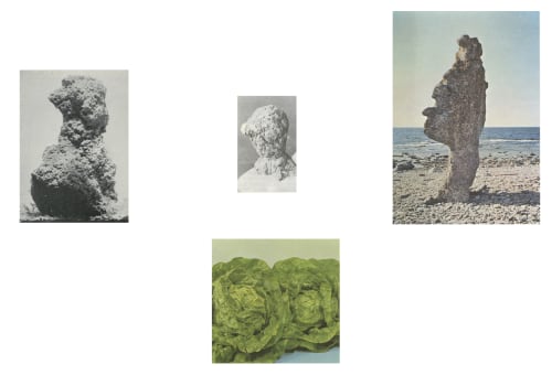 Ruth Van Beek's latest book approaches her archive both abstractly and practically