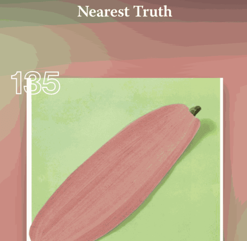 Nearest Truth: Ruth van Beek art exhibition Amsterdam