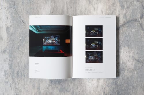 袁廣鳴畫冊《明日樂園》，2018