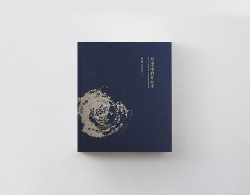 蔡佳葳｜自虛空中迴旋而來, NT$ 700