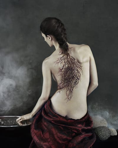 Vee Speers, Untitled #23, 2020, from 'Phoenix'