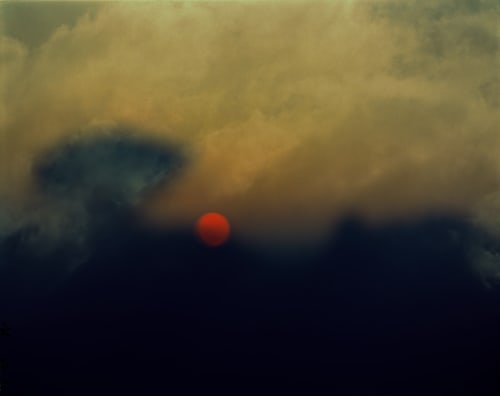 Nicholas Hughes, Untitled 1, 2009, from 'Field, Verse 1'