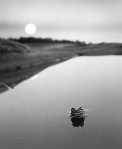 Pentti Sammallahti, Ristisaari, Finland, 1974