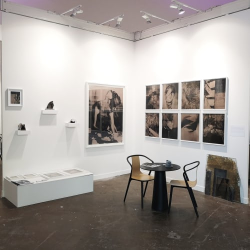 Paris Photo Curiosa, Présentation monographique d'œuvres récentes de Thomas Hauser