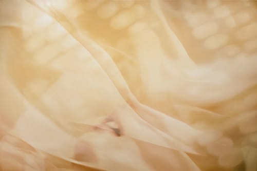 Sentire: You Are The April Sky , Female Artists