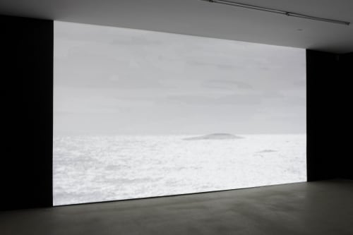 Adam Shecter, Last Men