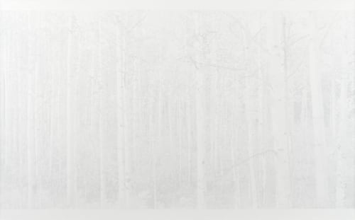 Balantane, 2011Acrylic on canvas66 x 105.5 inches (167.6 x 267.9 cm)