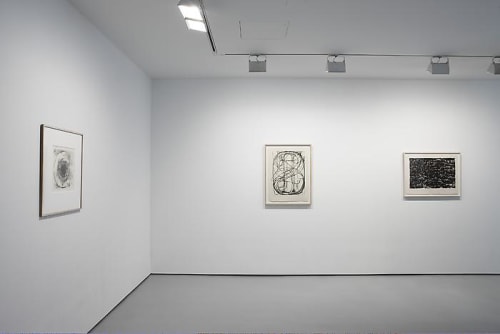 Jasper Johns, Prints: A Selection 1960 - 2007