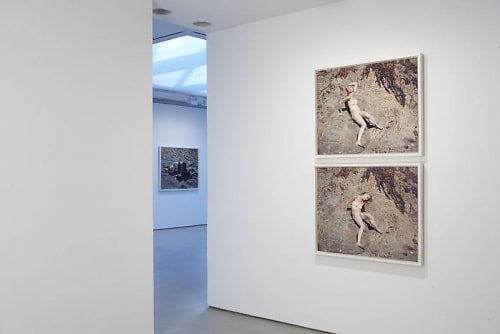 Katy Grannan, Another Woman Who Died in Her Sleep + Lady Into Fox