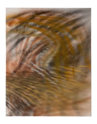 Andrea Marie Breiling Warm Craw, 2021 Aerosol spray on canvas 60 x 48 in 152.4 x 121.9 cm Private Collection