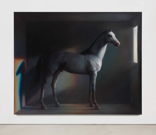TM Davy horse (x) 2016 Oil on canvas 79 x 98 inches (200.7 x 248.9 cm) TMD 228