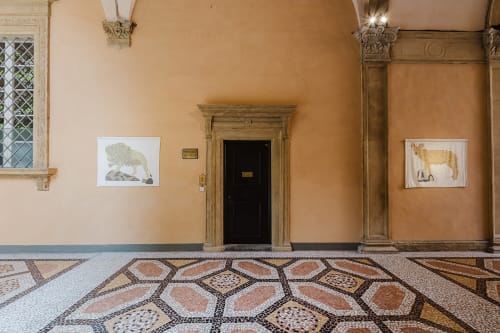 Marta Roberti | GIUNGLA A PALAZZO, curated by Silvia Evangelisti