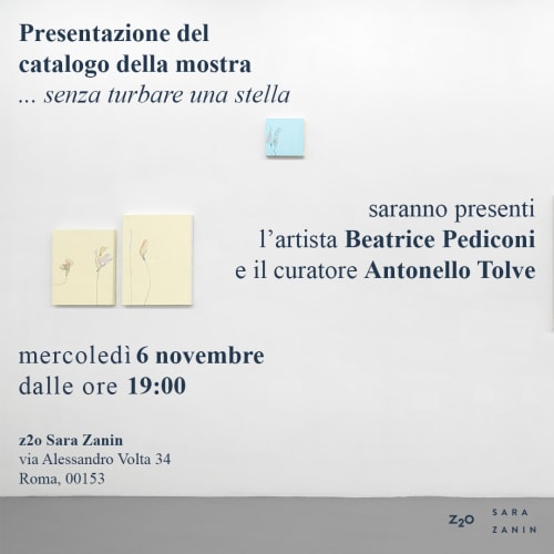 PRESTENTATION OF THE CATALOGUE "BEATRICE PEDICONI, ...SENZA TURBARE UNA STELLA"