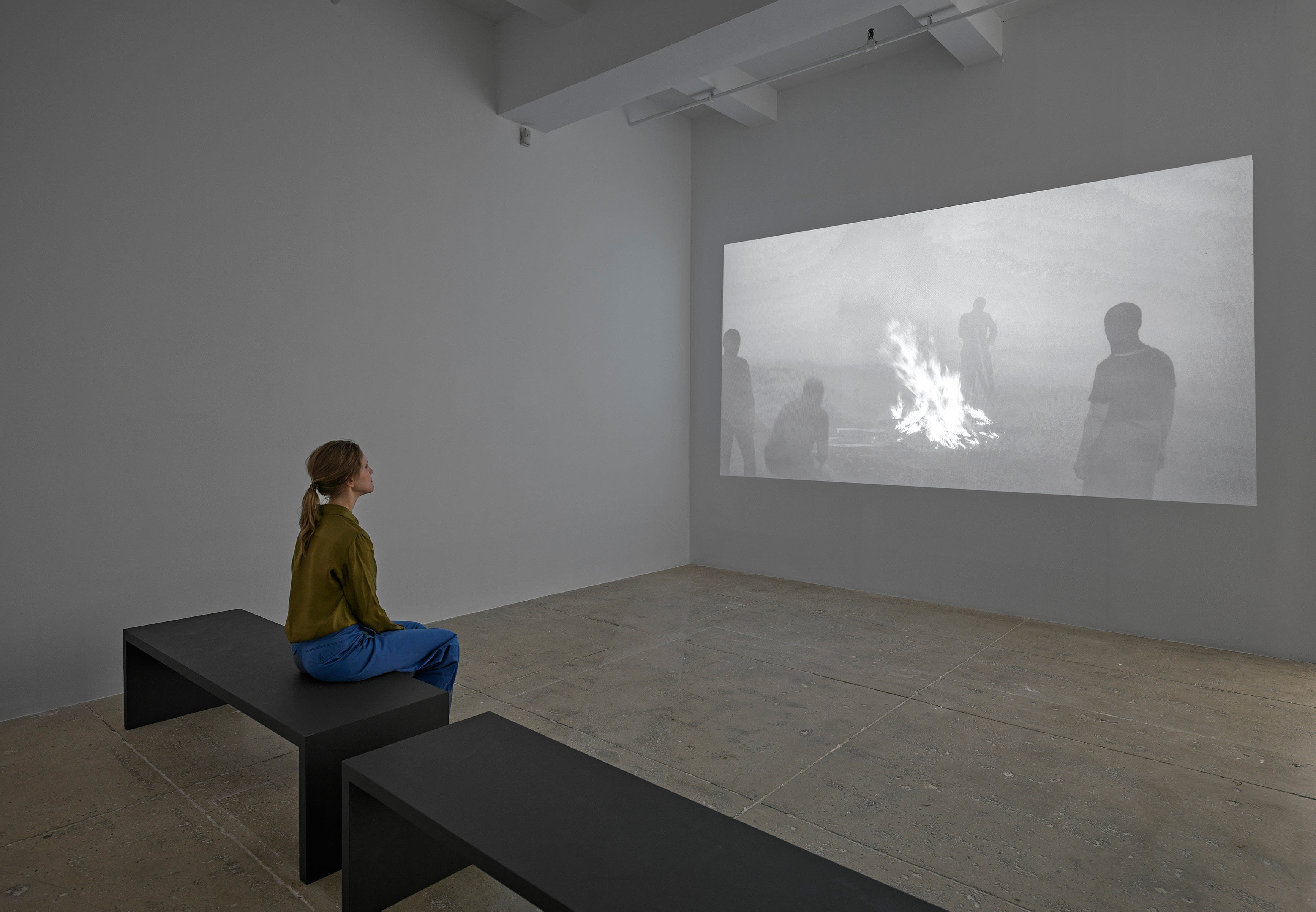 Apichatpong Weerasethakul Vapour, 2015 Digital HD, silent; 21 min.