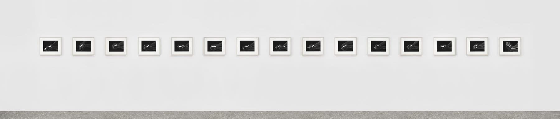 Giuseppe Penone Geometria nelle mani - 4 aprile, 2004 Set of 15; Selenium toned silver gelatin prints on baryta paper...