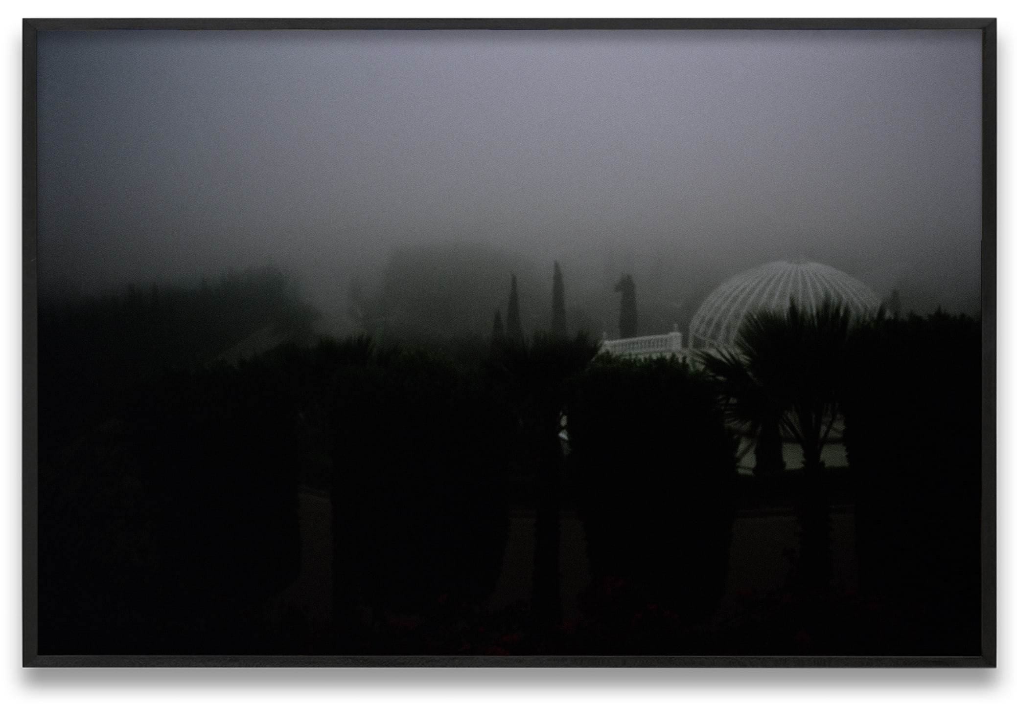 Nan Goldin Winter Garden, Malibu, 2006 Dye sublimation print on aluminum 20 x 30 in. (50.8 x 76.2 cm) Edition...