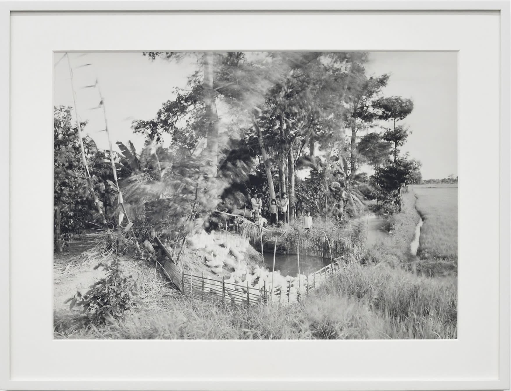 An-My Lê Untitled, Mekong Delta, Viêt Nam, 1994 Silver gelatin print Image: 15 3/4 x 22 3/8 in. (40 x...