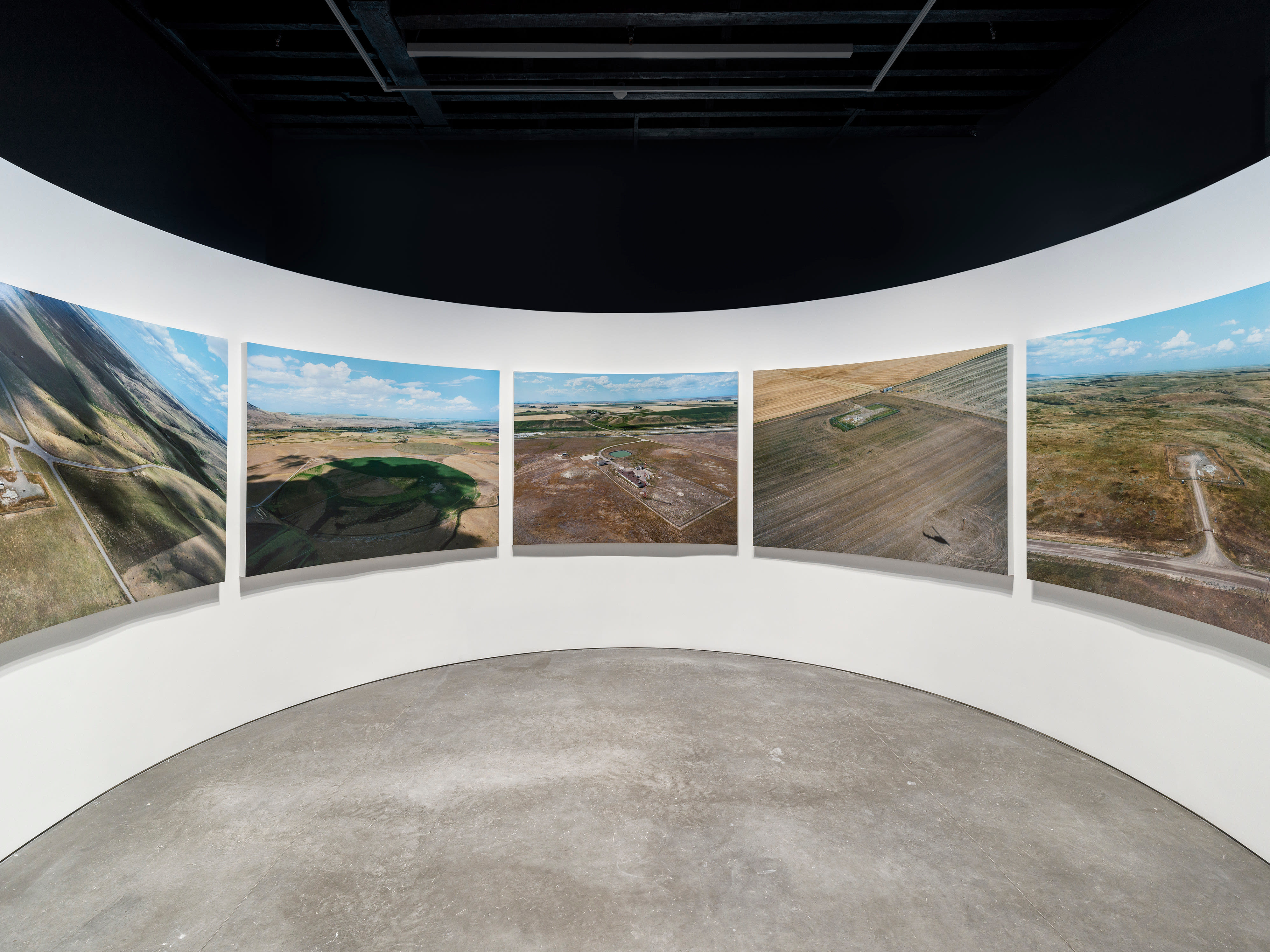 An-My Lê Grey Wolf, 2024 Installation comprised of 7 vinyl prints Image: 48 x 64 1/2 in. (121.9 x 163.8...