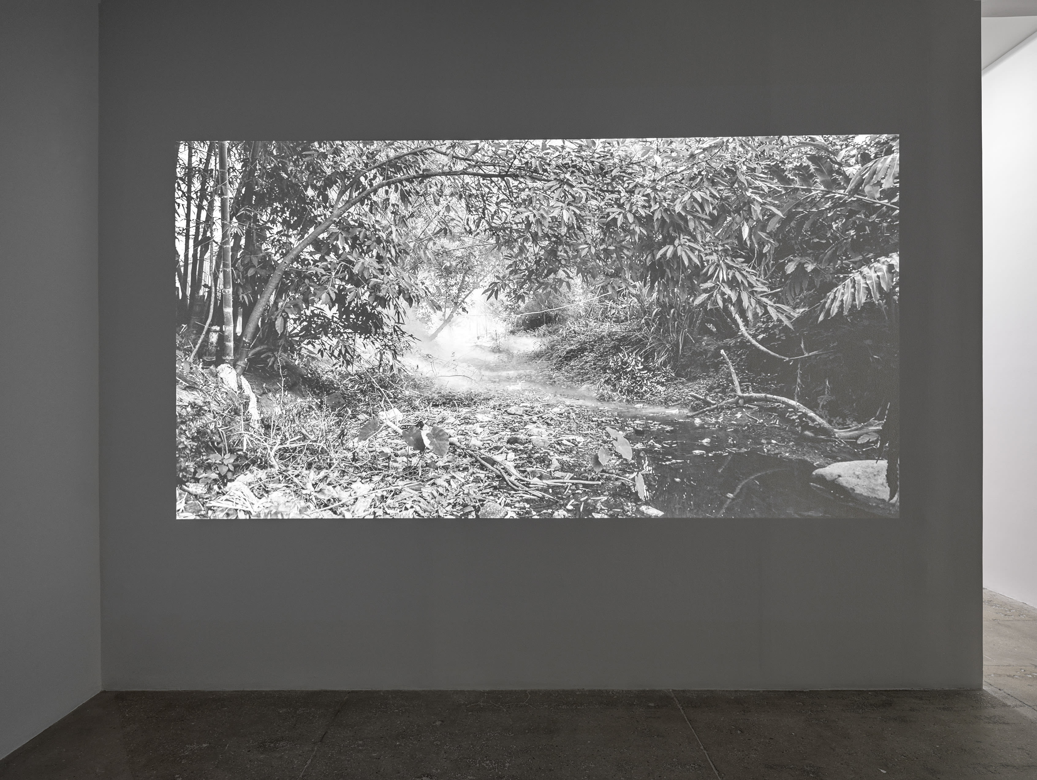 Apichatpong Weerasethakul Vapour, 2015 Digital HD, silent; 21 min.